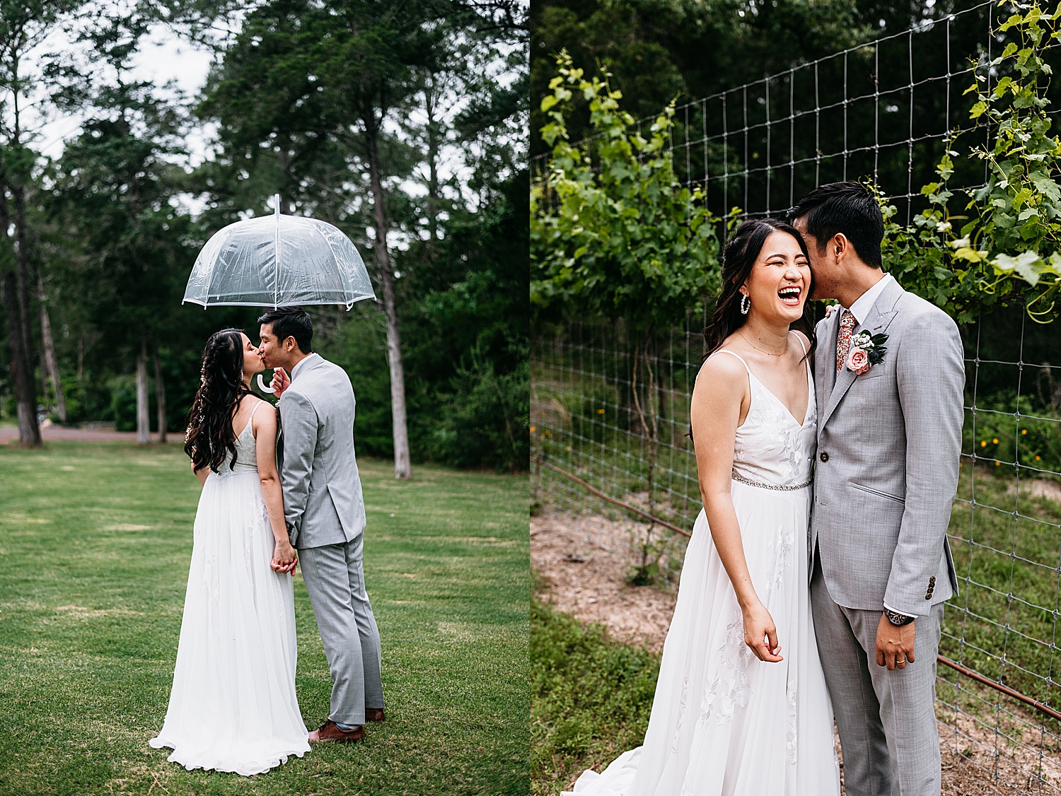 Bride and groom share kiss under clear umbrella in front of vines. 